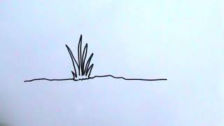 HOW TO DRAW A GRASS