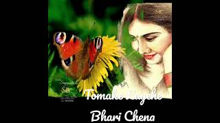 Tomake Lagche Bhari Chena / #shorts #shortvideo #shortsviral #viralshort #viralvideo #shortsfeed