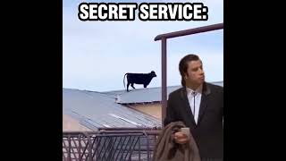 Vigilant Secret Service