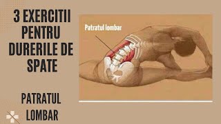 DURERI DE SPATE - 3 Exercitii Simple Pentru Relaxare | Patratul Lombar | Ovidiu Kurti