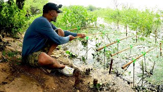 हैदराबादी पारंपरिक फिशिंग टेक्निक्स आणि कुकिंग /Hydrabad traditional Fishing Techniques and Cooking