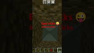 Im  pro player on my menicraft pocket edition