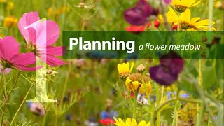 Step 1. Planning your flower meadow