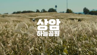 상암 하늘공원 갈대구경🌾 | 시네마틱 브이로그 | 소니 A7M4 | Sony A7IV | Cinematic Travel Vlog | Sangam-dong Sky Park