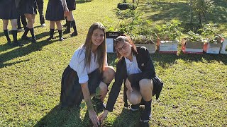 Donación de plantines de árboles nativos