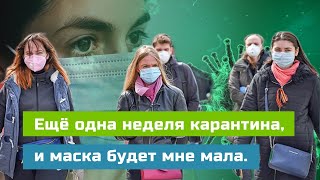 Не паникуй и не грусти! Лучшие смешные высказывания про коронавирус.