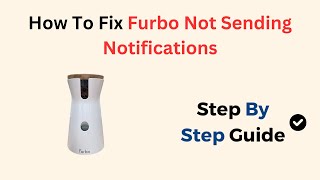 How To Fix Furbo Not Sending Notifications