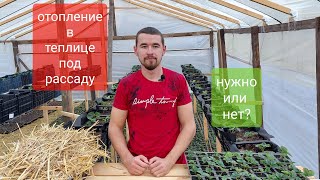 Рассада Клубники Зимой, как я  спасаю рассаду от морозов