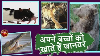 ये जानवर खा जाते हैं अपने ही बच्चे | animal ate their baby | strange things | aonenewstv ajab gajab