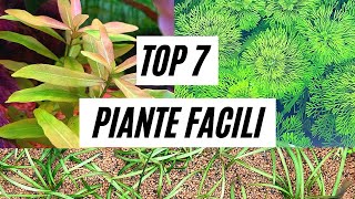 TOP 7 PIANTE FACILI IN ACQUARIO