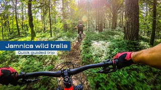 Jamnica Wild Trails - Quick guided trip to Vid Persak Trails