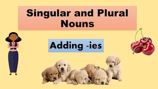 Singular and  Plural Nouns | adding ies