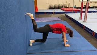 Y Gymnastics - Handstands