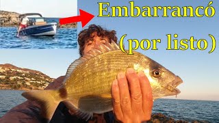 Pesca de sargo brutal y uno se mete en los arrecifes.