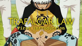 Trafalgar Law | First Introduction | Sabaody Archipelago