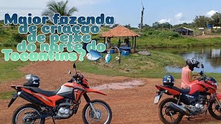 Maior fazenda de criação de peixe do norte do Tocantins? será? Da minha cidade é com certeza.