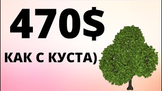 470 долларов как с куста