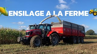 🌽24H A L’ENSILAGE AVEC MOI🚜🇫🇷