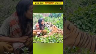 क्या हुआ जब इस खूंखार tiger नेदबोचा इस बंदे को  #shorts #youtubeshorts #tigerattack #attack