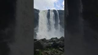 Athirapally waterfalls kerala #shortsfeed #shorts