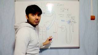 RENIN ANGIOTENSIN ALDOSTERONE SYSTEM [ RAAS ]