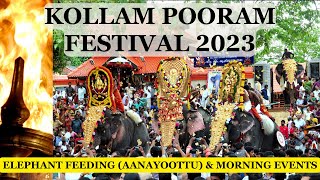 Kollam Pooram Festival  2023- Grand Celebrations | The Majestic Elephants of Kerala