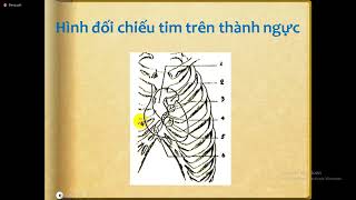 Giải phẫu tim và ứng dụng trong siêu âm