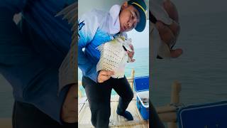 Dahsyatnya menarik ikan #fishing #predatorrawa #fish #rawapening #mancingrawa #shortvideo #shorts