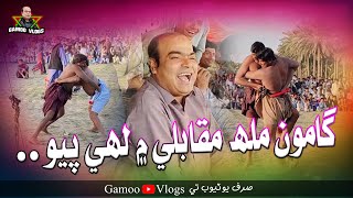 Gamoo Malah Muqabele Mai Lahi Payo | Asif Pahore (GAMOO) | Gamoo Vlogs