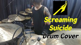 Metallica - Screaming Suicide - Drum Cover - 메탈리카 - 드럼 커버