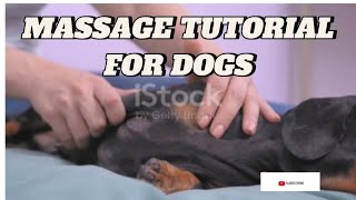 PUPPY MASSAGE TUTORIAL| RELAXATION TECHNIQUES FOR YOUR FUR BABY| #doglove  #massagetherapy