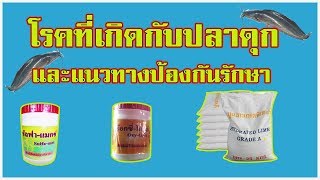 โรคที่เกิดกับปลาดุก | และแนวทางการป้องกันรักษา |