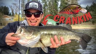 Catching HUGE Bass on Crankbaits! (Spring Fishing)