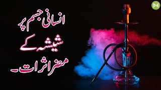 Harmful Effect Of Shisha On The Human Body | شیشہ کے انسانی جسم پر مضر اثرات۔ | Metahealth