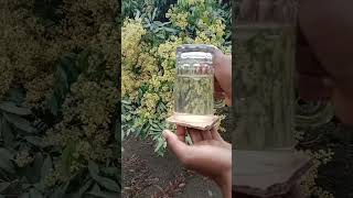 Science Experiment Water Glass and Cardboard।Glass and Water Experiment #shorts