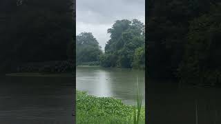 #rain #nature #riverside #music #song #tamilsong #lovesong