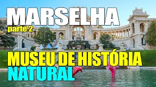 MARSELHA MUSEU DE HISTÓRIA NATURAL SUL DA FRANÇA parte 2