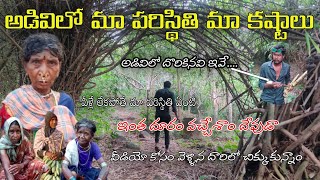 Sunnapugedda waterfalls srikakulam andhra pradesh | forest route | seethampeta