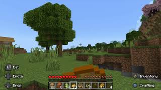 New World  Minecraft