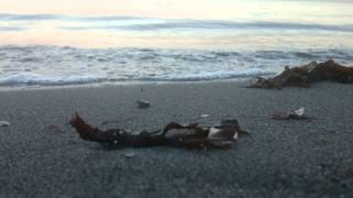 Seaside meditation on Amager Strand, Copenhagen