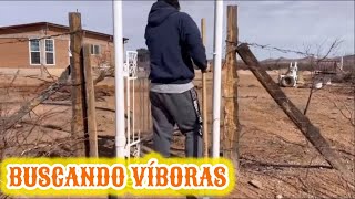 31~🛑BUSCANDO VIBORAS en EL RANCHO🐍SIN VIBORERAS 🌵trajimos material