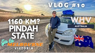 Pindah State Dari Tamworth NSW ke Melbourne Victoria 1160 KM WHV Australia. VLOG #10