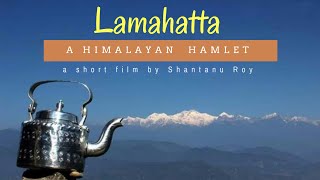 Lamahatta - A Himalayan Hamlet | Offbeat North Bengal - Vlog 3. | Places to Visit In Darjeeling |