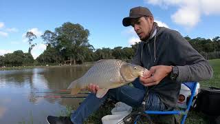 Pesqueiro  LG  - Pescaria de carpas e tilapia na UL