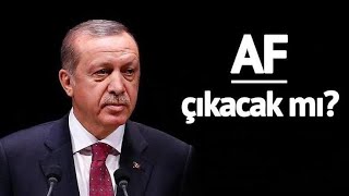 CUMHURBASKANI ERDOĞAN AF İÇİN GÖRÜŞLERİNİ AÇIKLADI