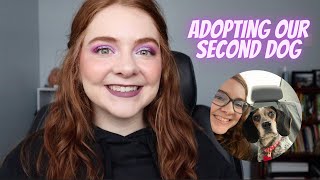 Chatty GRWM | Adopting Our Second Dog!