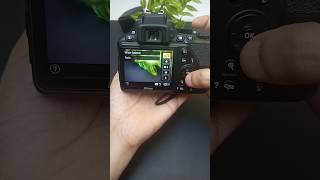 Nikon D3500 White Balance #shorts