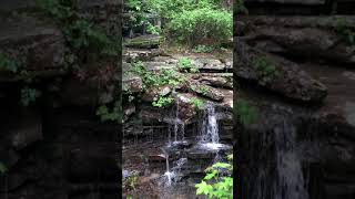 Hardy Falls May 2020