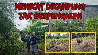 MEMIKAT DI PERKAMPUNGAN TAK BERPENGHUNI || LERENG GUNUNG SINABUNG