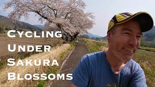 Riding the Tono-Towa Cycling Road near Tono Iwate Japan